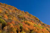20101105_094553 Boschi autunnali.jpg
